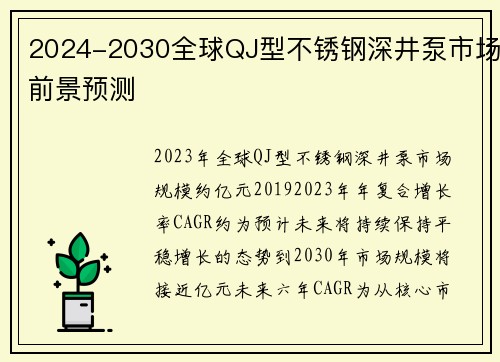 2024-2030全球QJ型不锈钢深井泵市场前景预测