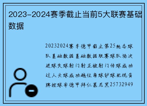 2023-2024赛季截止当前5大联赛基础数据