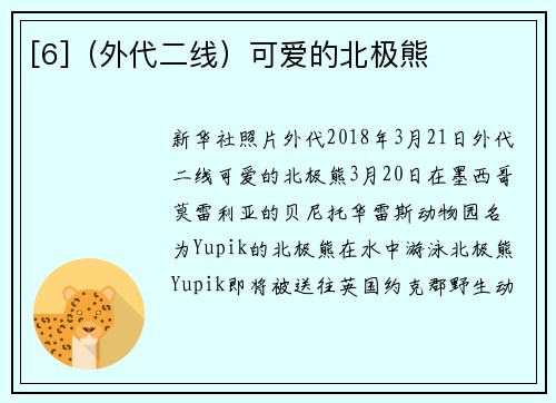 [6]（外代二线）可爱的北极熊