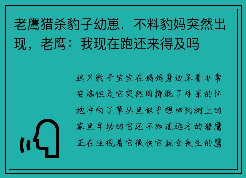 老鹰猎杀豹子幼崽，不料豹妈突然出现，老鹰：我现在跑还来得及吗